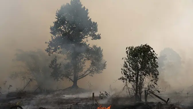 Lima Titik Api Masih Aktif di Papua Barat, Operasi Udara BNPB Terhambat Avtur