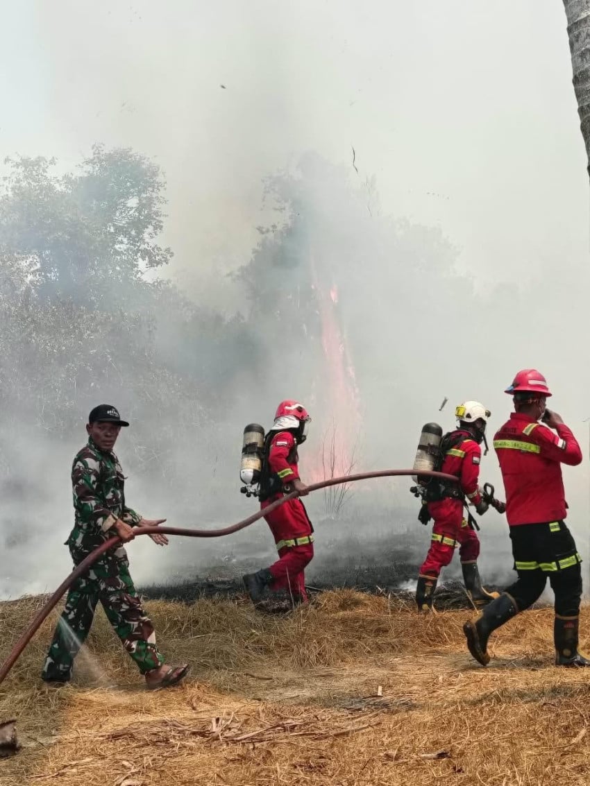 Kebakaran Lahan Perkebunan di Makaeling Halmahera Utara Dihadapi ERT Gosowong